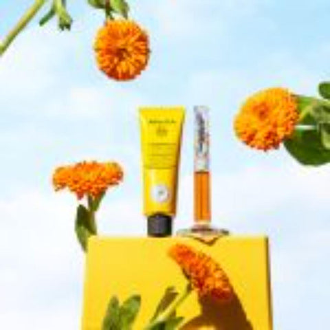 Apivita Calendula