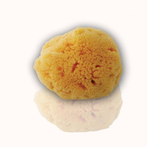 Beauty Spring Natural Sponge