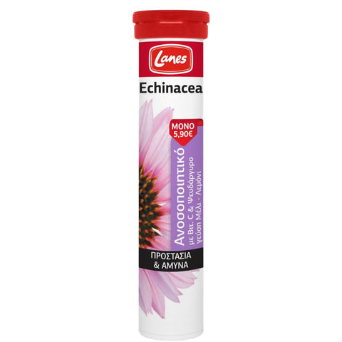 Lanes Echinacea