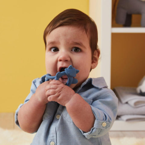 B.Box Wrist Teether-Βραχιολακι οδοντοφυΐας