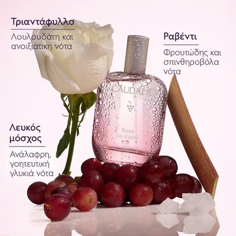 Caudalie Rose de Vigne Fresh Fragrance- NEW