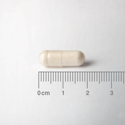 Lamberts Biome Balance Travel-NEW