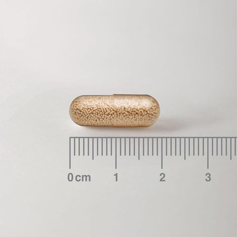 Lamberts Biome Balance for those on Antibiotics- NEW