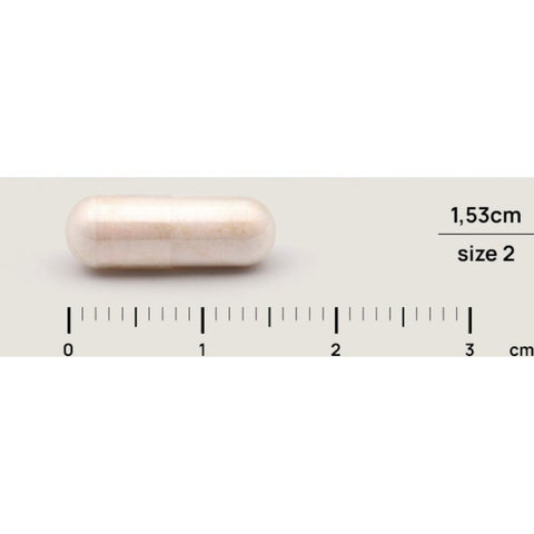 Bacteflora Daily